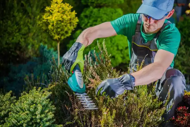 landscaping services Walnut